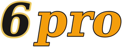 6pro logo